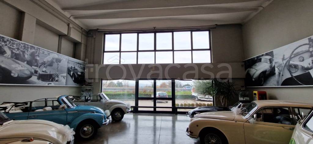 immagine annuncio 2 di 8