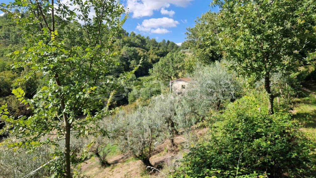 immagine annuncio 5 di 6