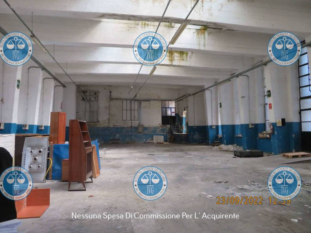 immagine annuncio 10 di 13