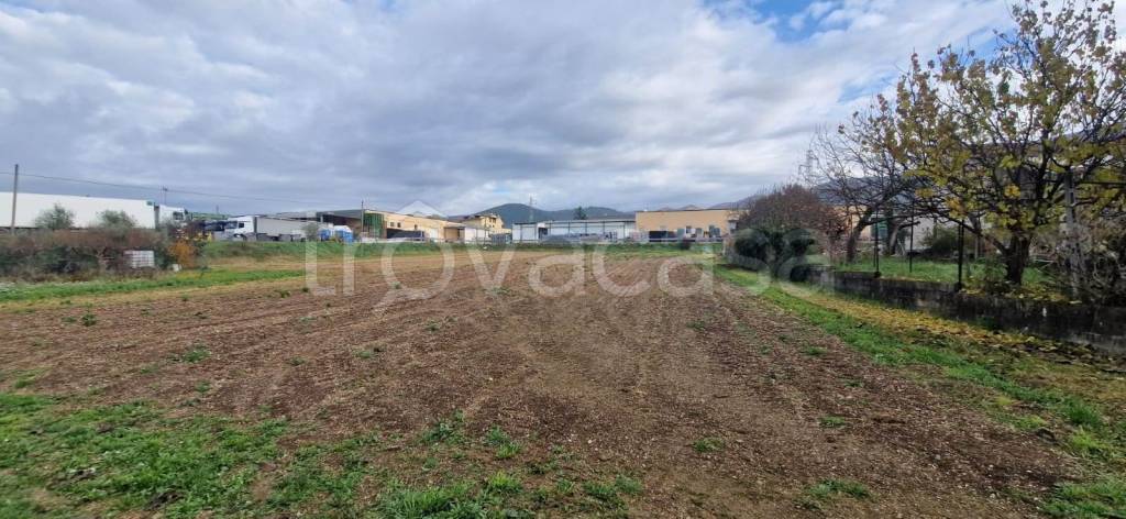 immagine annuncio 1 di 2