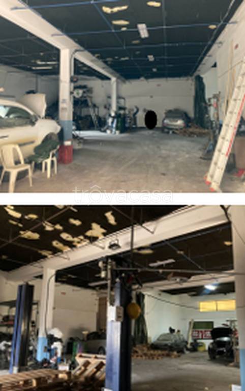 immagine annuncio 5 di 11