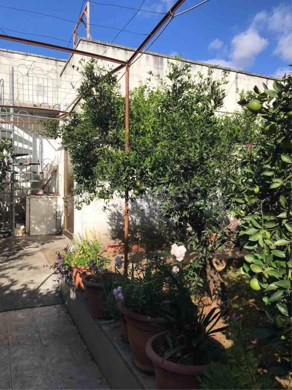 immagine annuncio 1 di 7