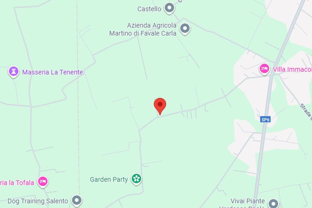 immagine annuncio 3 di 12