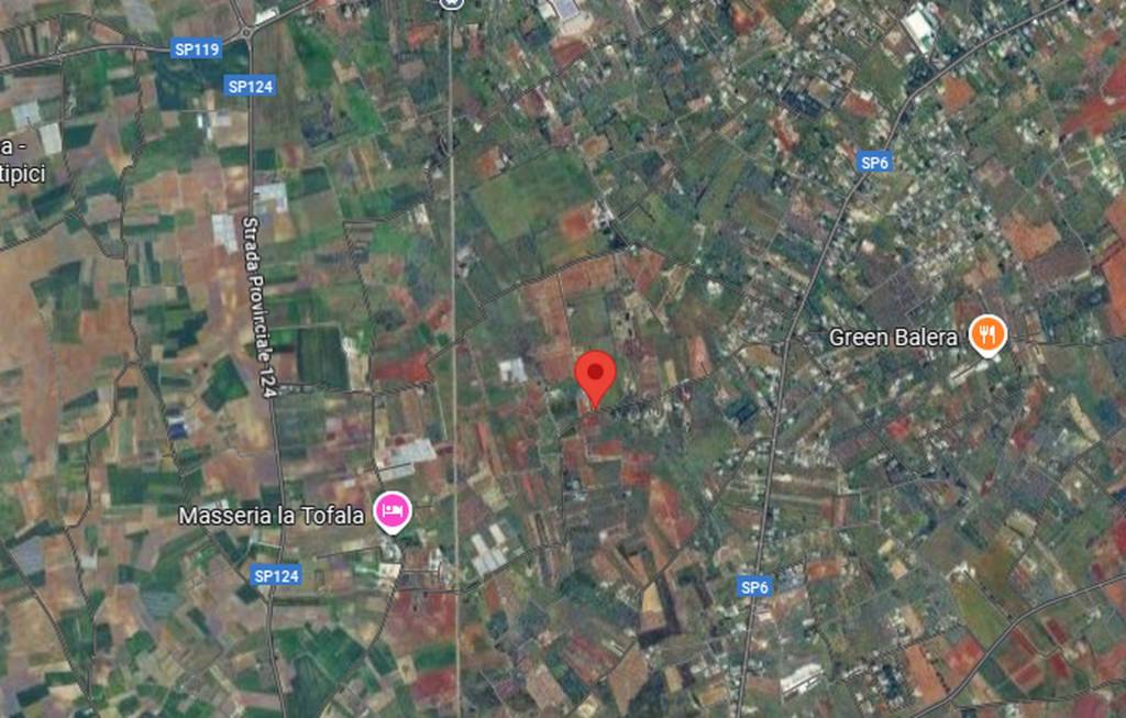 immagine annuncio 6 di 12