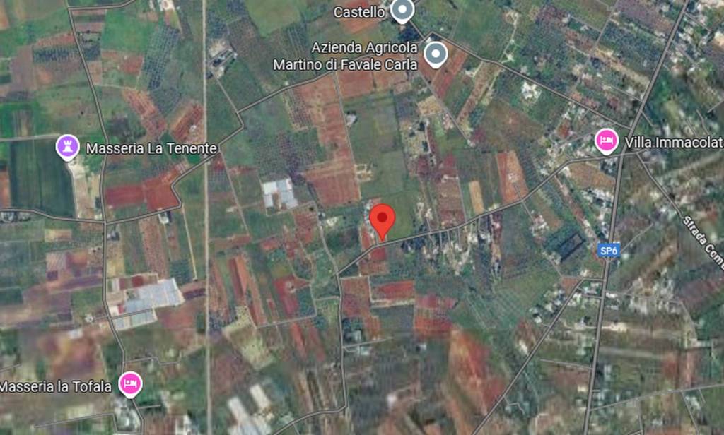 immagine annuncio 7 di 12