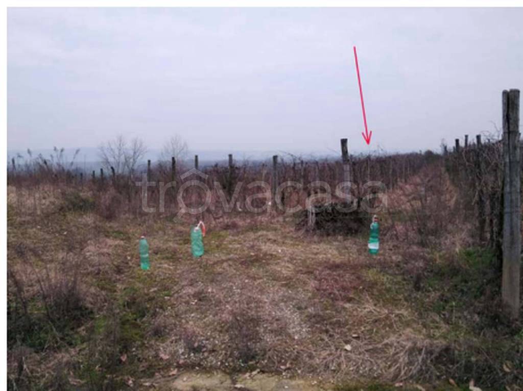 immagine annuncio 4 di 11