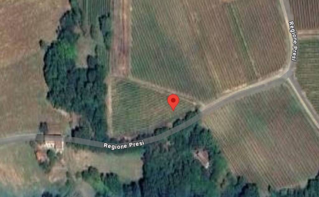 immagine annuncio 5 di 11