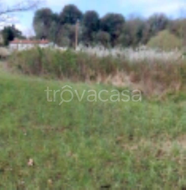 immagine annuncio 8 di 11