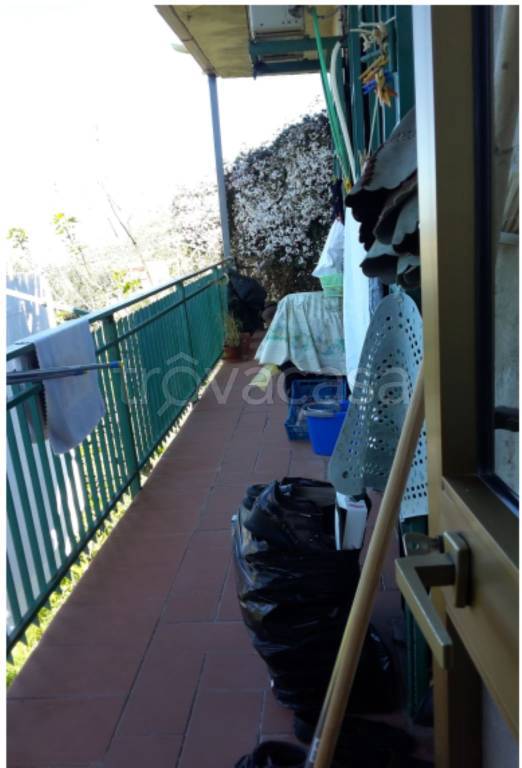 immagine annuncio 4 di 13