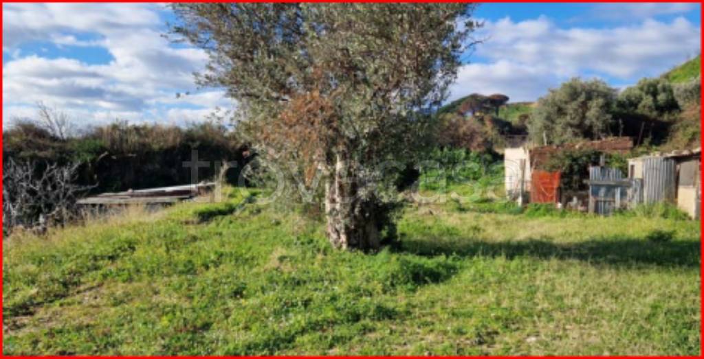 immagine annuncio 13 di 14