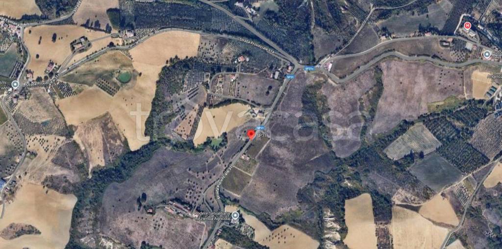 immagine annuncio 2 di 7