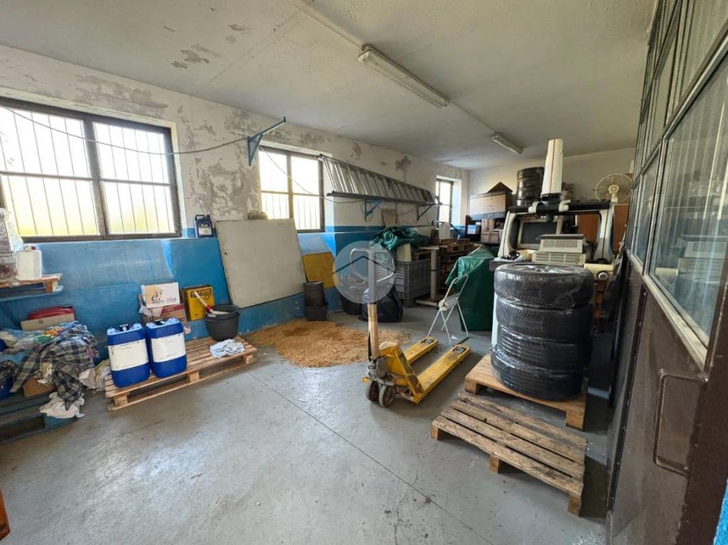 immagine annuncio 4 di 8