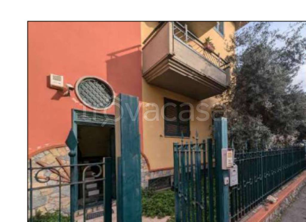 immagine annuncio 3 di 13