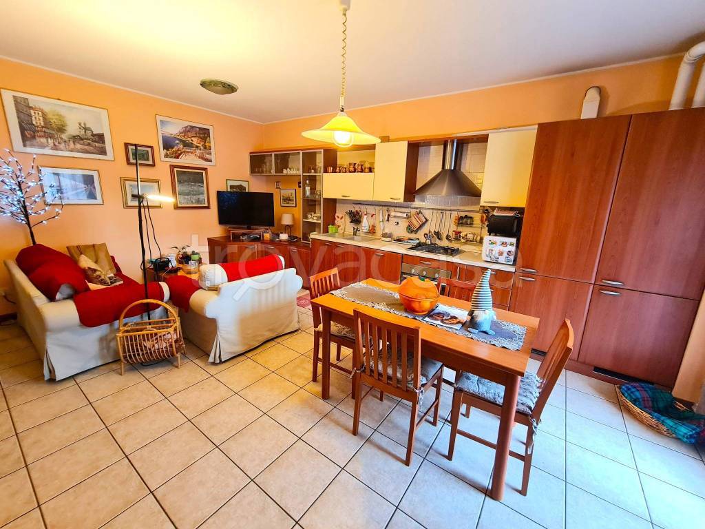 immagine annuncio 1 di 15