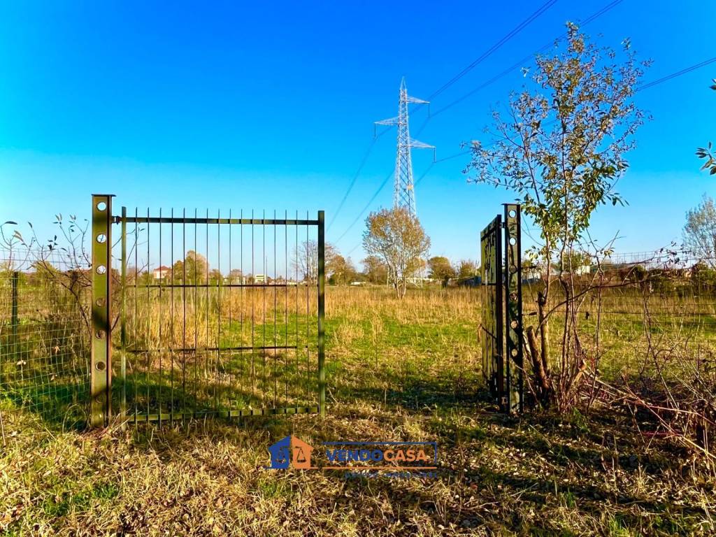 immagine annuncio 3 di 10