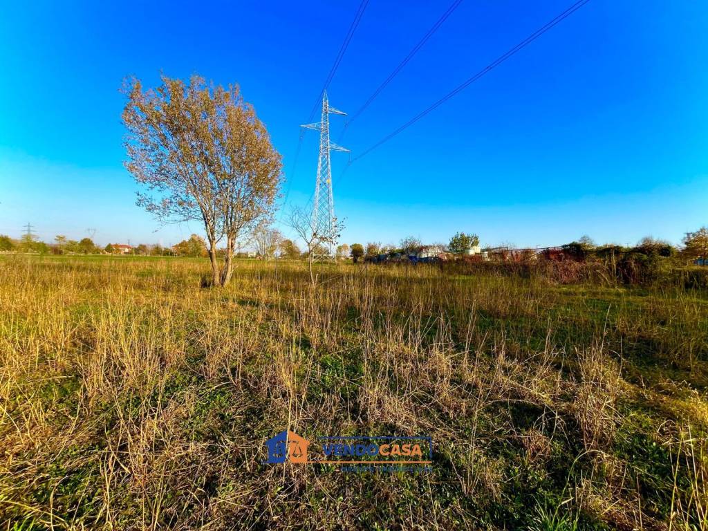 immagine annuncio 4 di 10