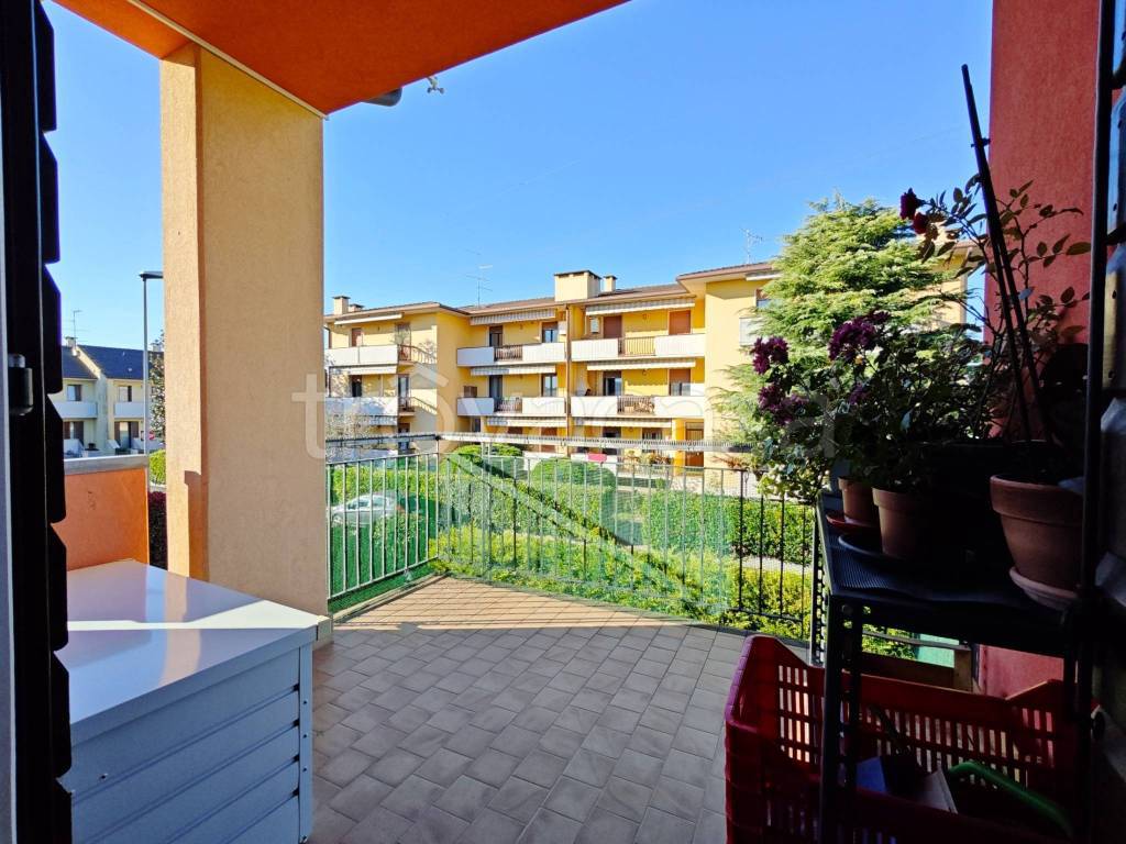 immagine annuncio 6 di 15