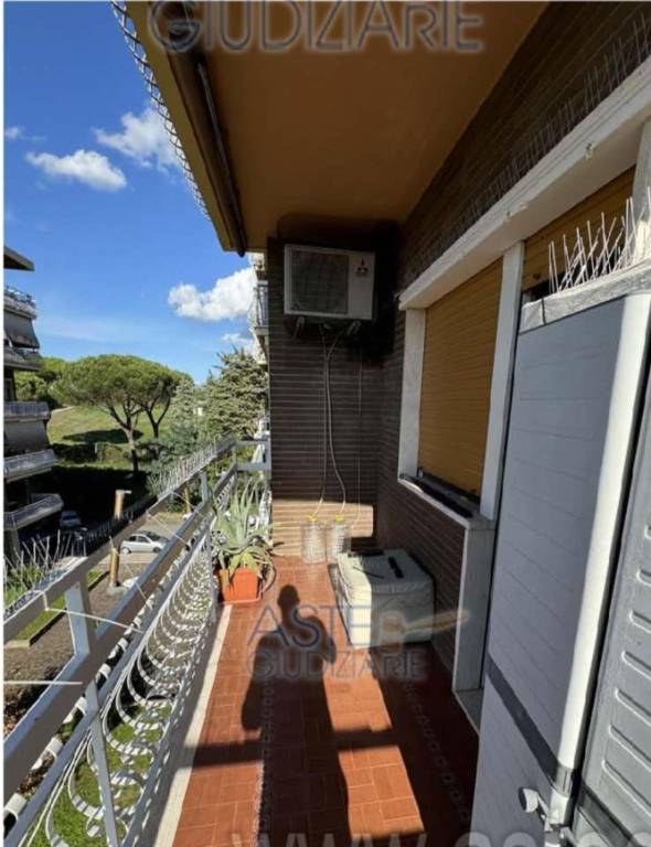 immagine annuncio 10 di 14