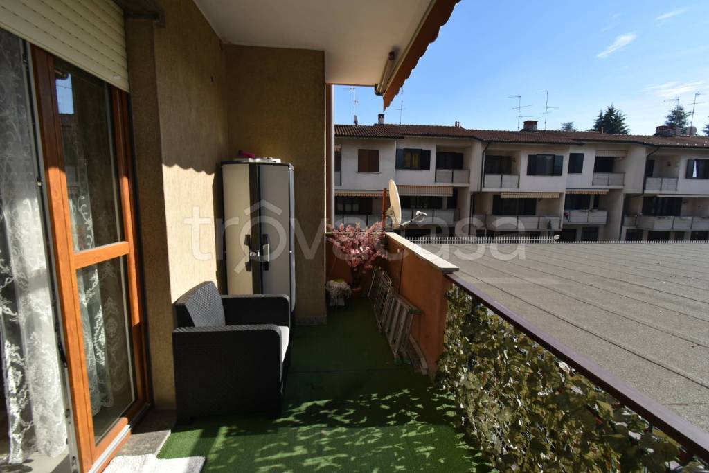 immagine annuncio 9 di 15