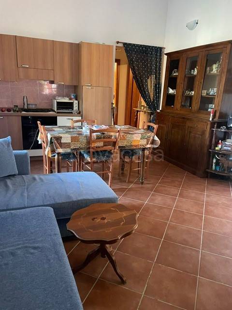 immagine annuncio 9 di 12