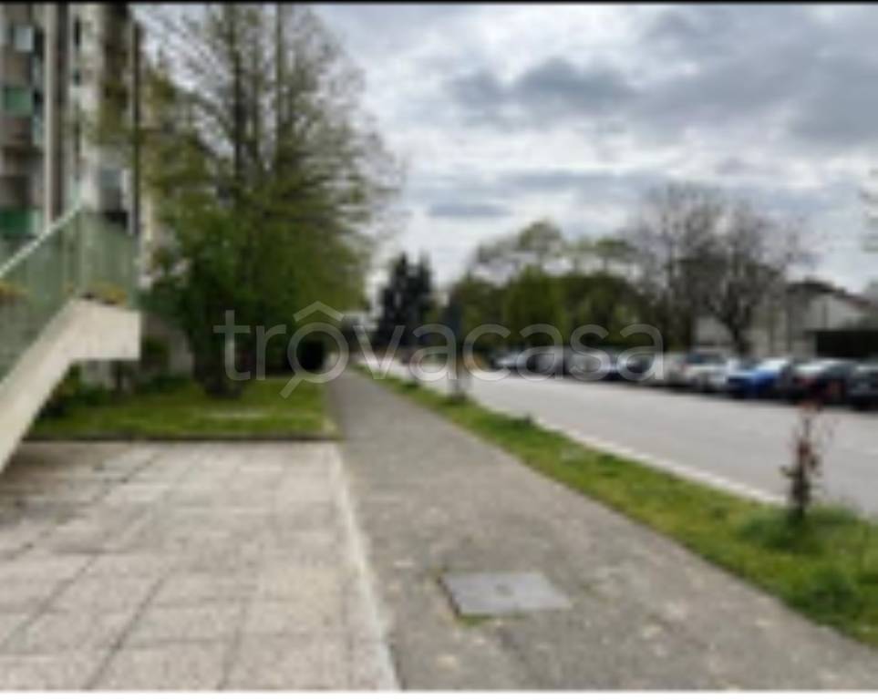 immagine annuncio 4 di 11