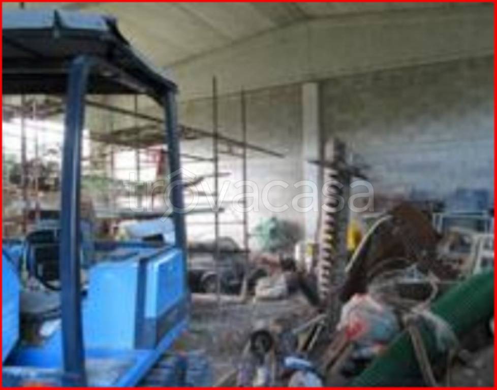 immagine annuncio 6 di 11