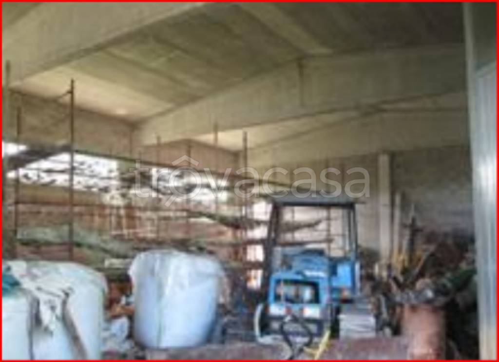 immagine annuncio 8 di 11