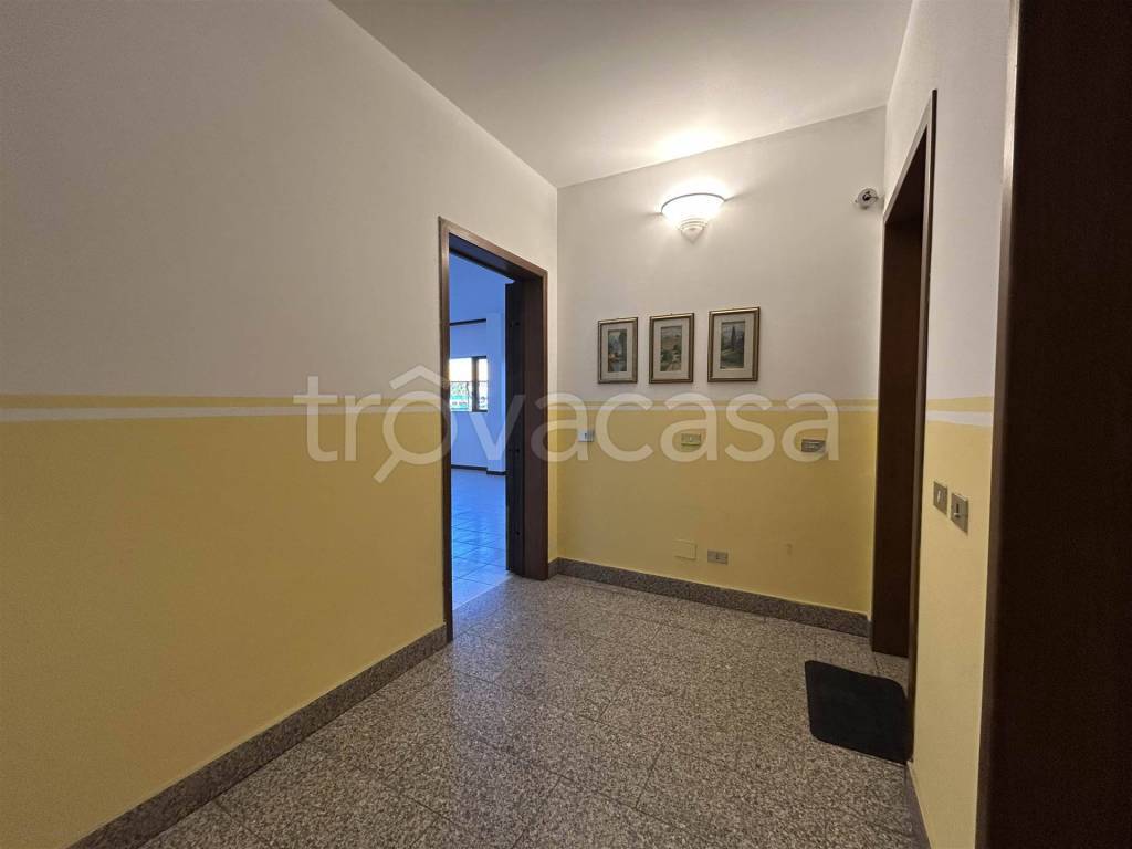 immagine annuncio 11 di 13