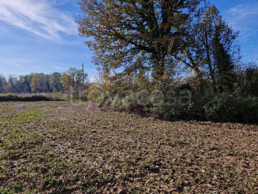 immagine annuncio 8 di 11