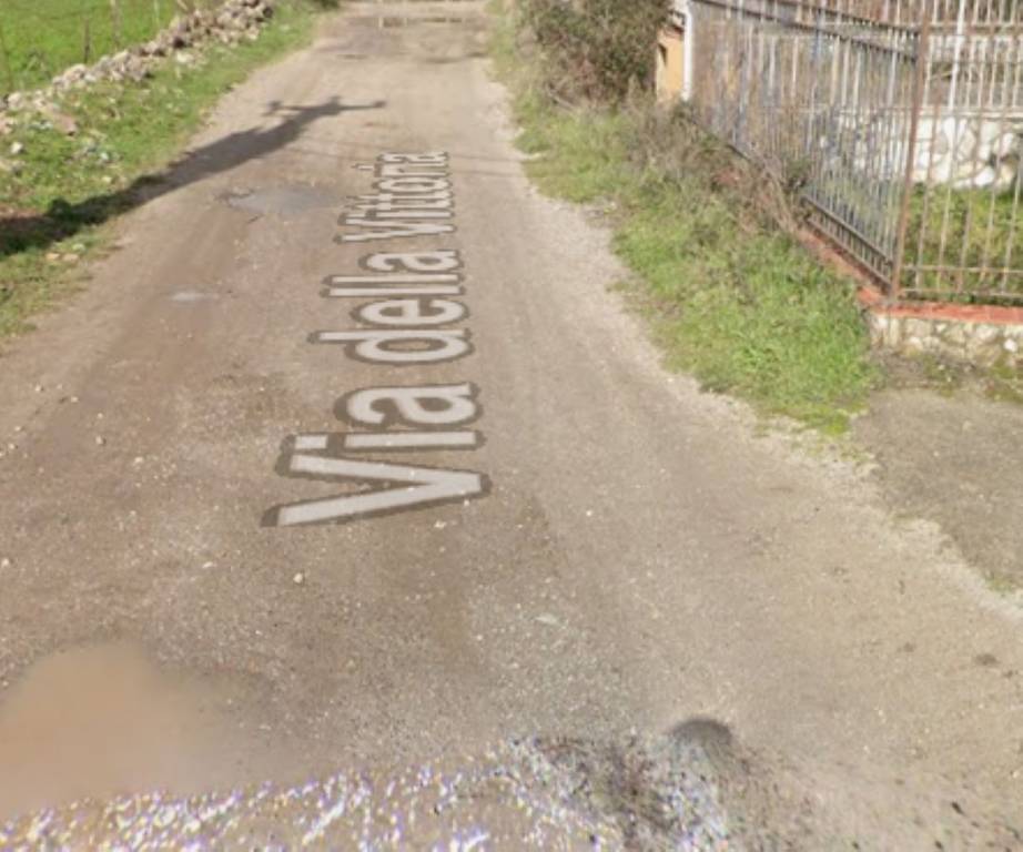 immagine annuncio 7 di 14