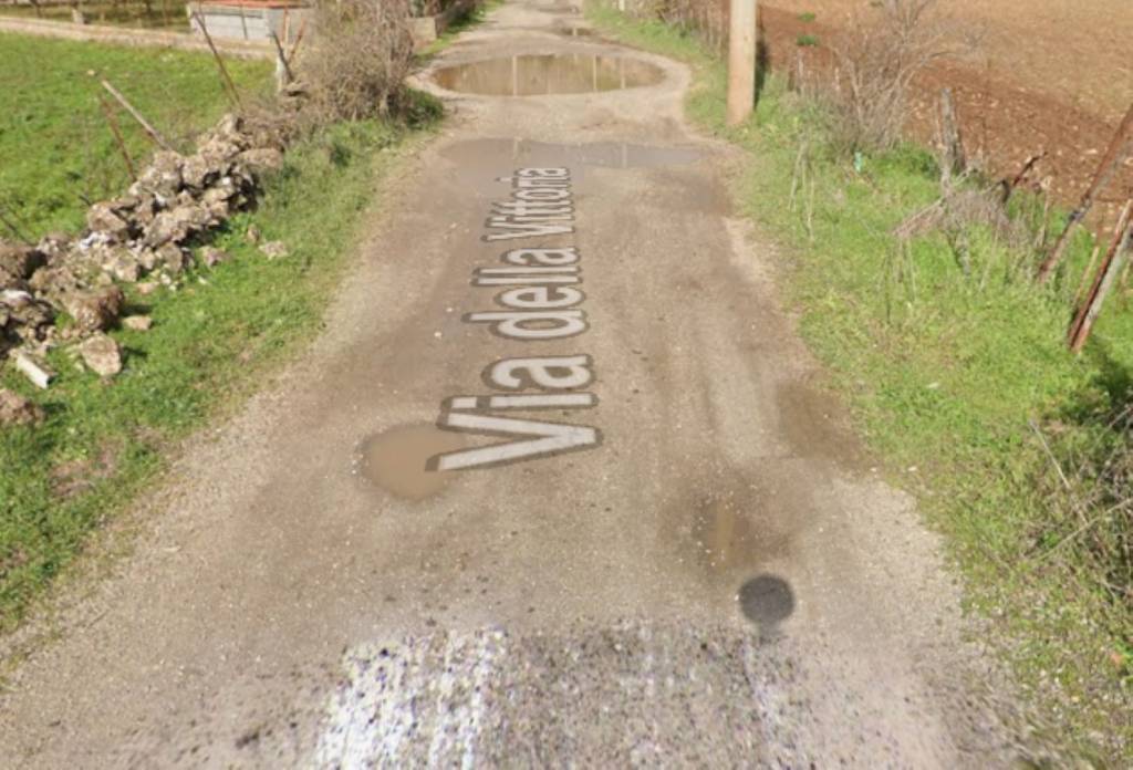 immagine annuncio 9 di 14