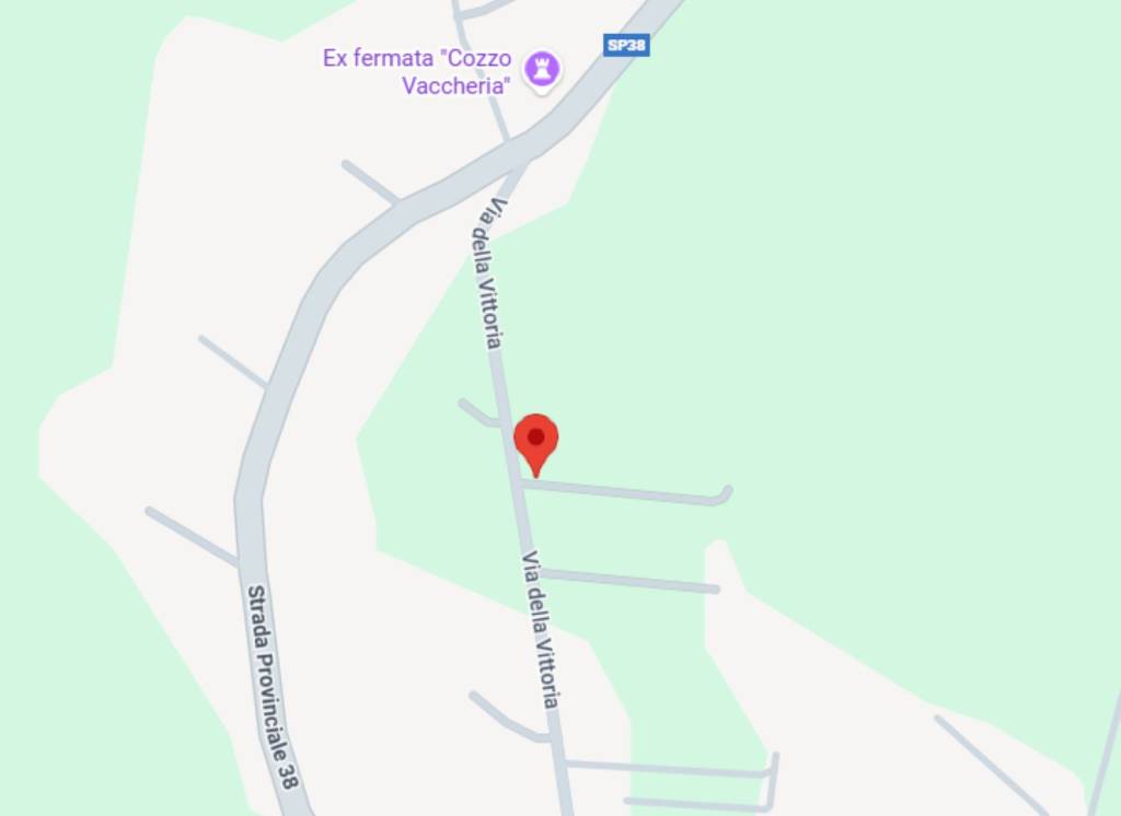 immagine annuncio 12 di 14