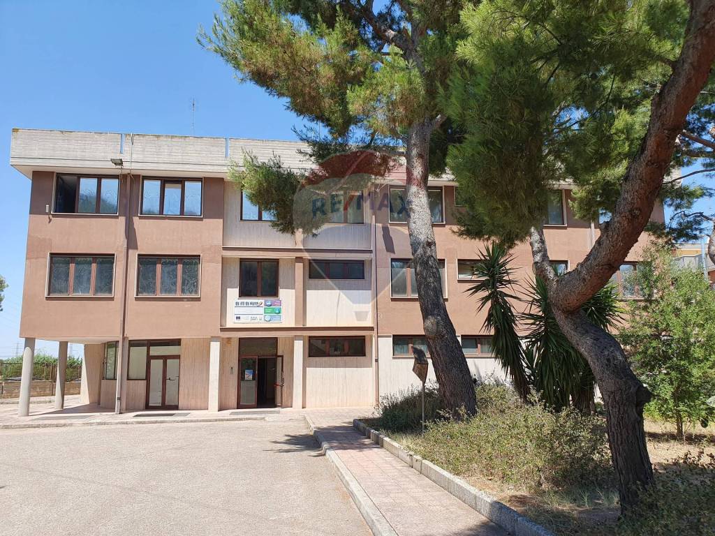 immagine annuncio 1 di 14