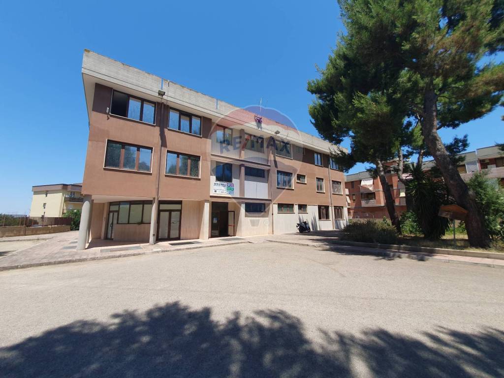 immagine annuncio 2 di 14