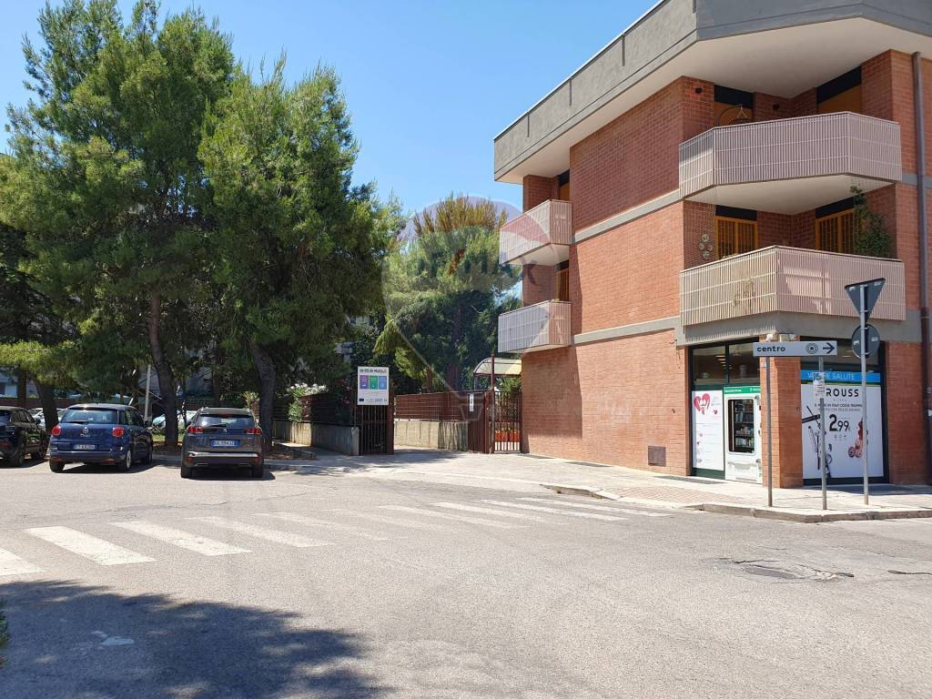 immagine annuncio 3 di 14