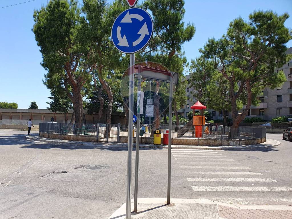 immagine annuncio 4 di 14