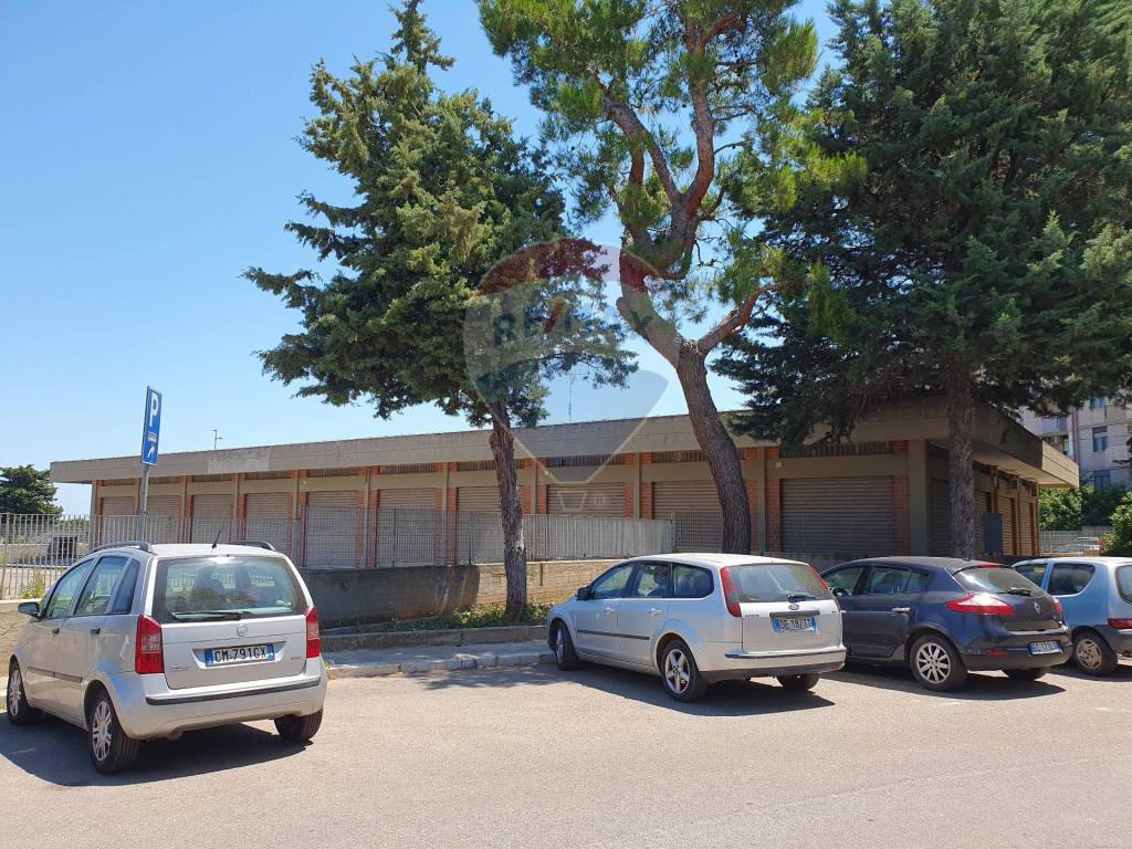 immagine annuncio 5 di 14