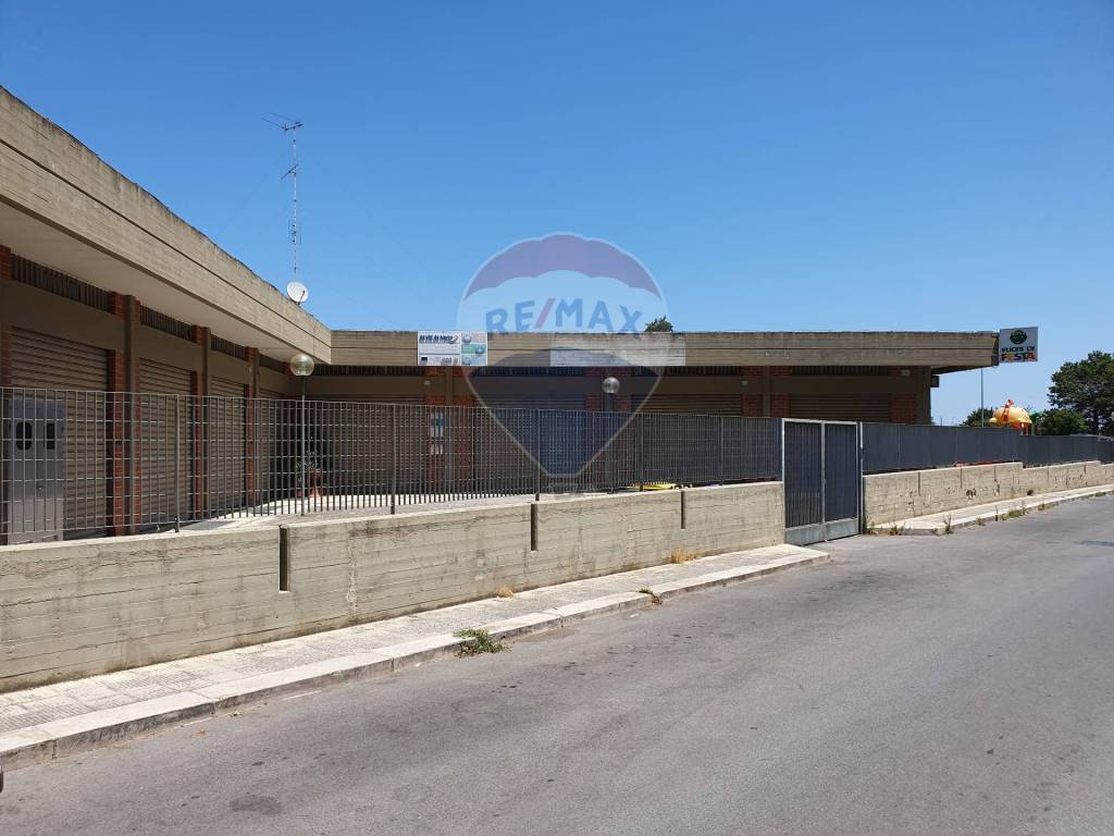 immagine annuncio 6 di 14