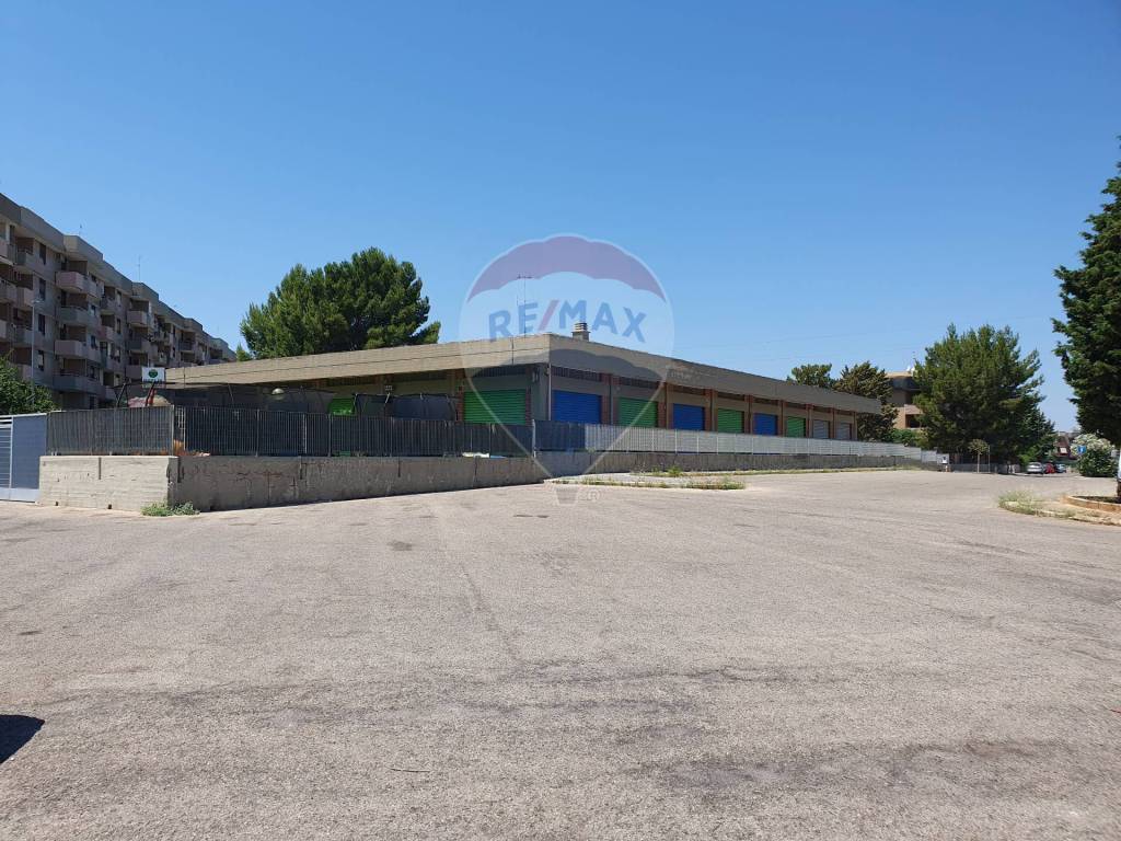 immagine annuncio 10 di 14