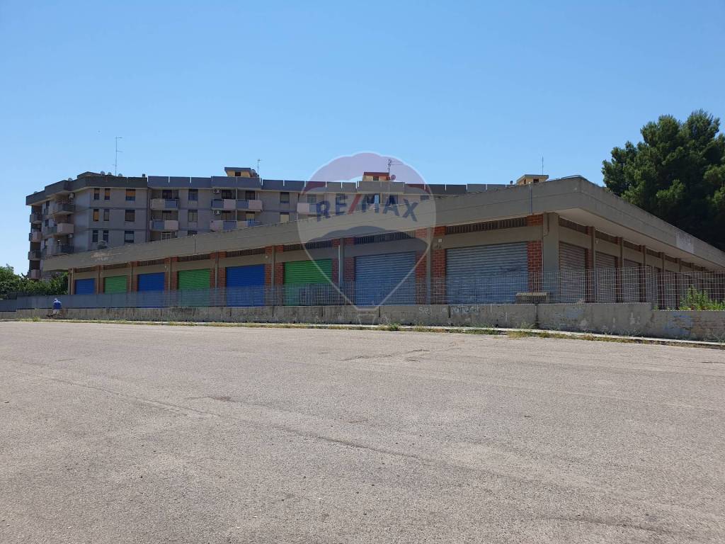 immagine annuncio 11 di 14