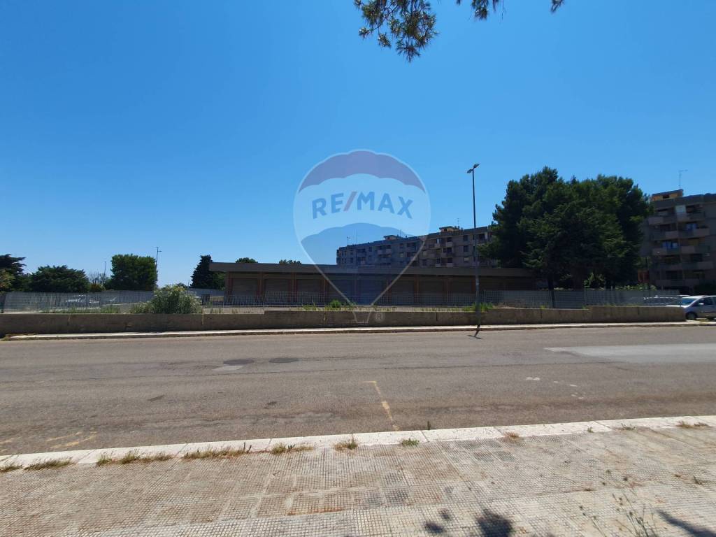 immagine annuncio 12 di 14