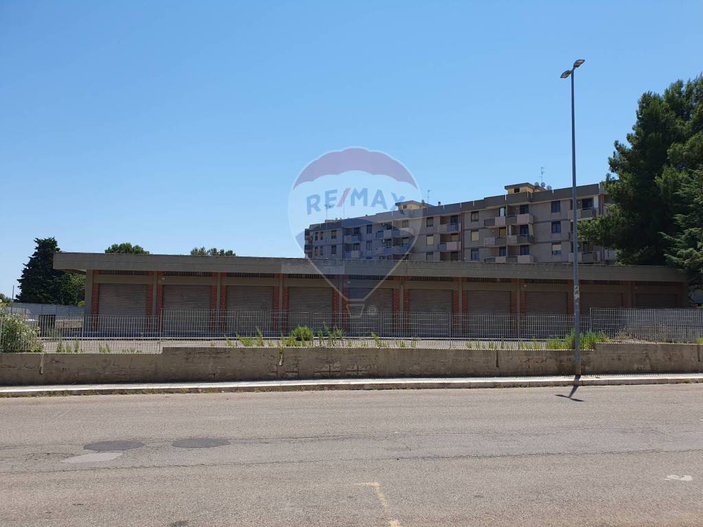 immagine annuncio 13 di 14