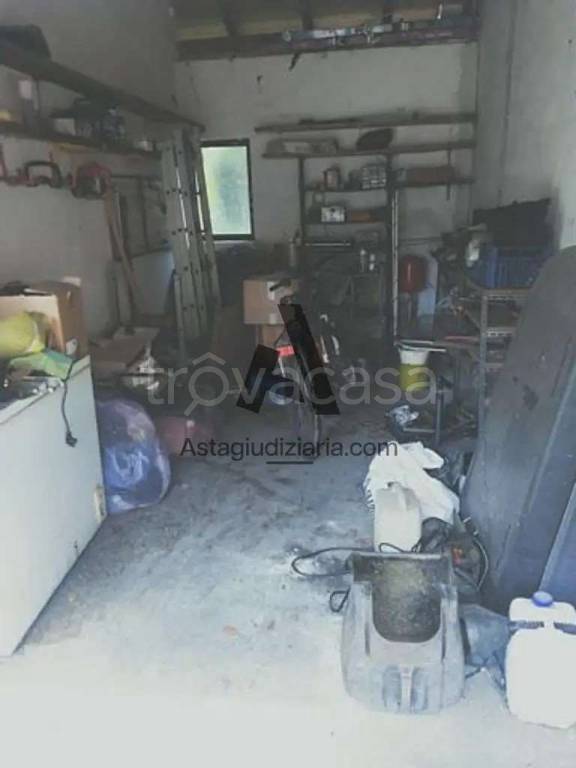 immagine annuncio 9 di 11