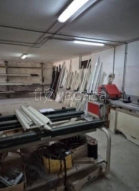 immagine annuncio 4 di 11