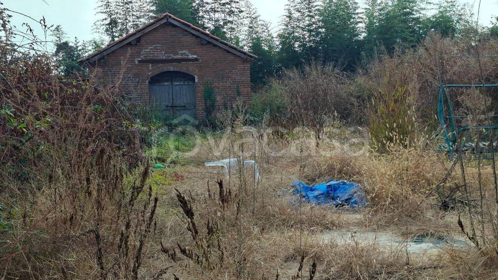 immagine annuncio 9 di 10