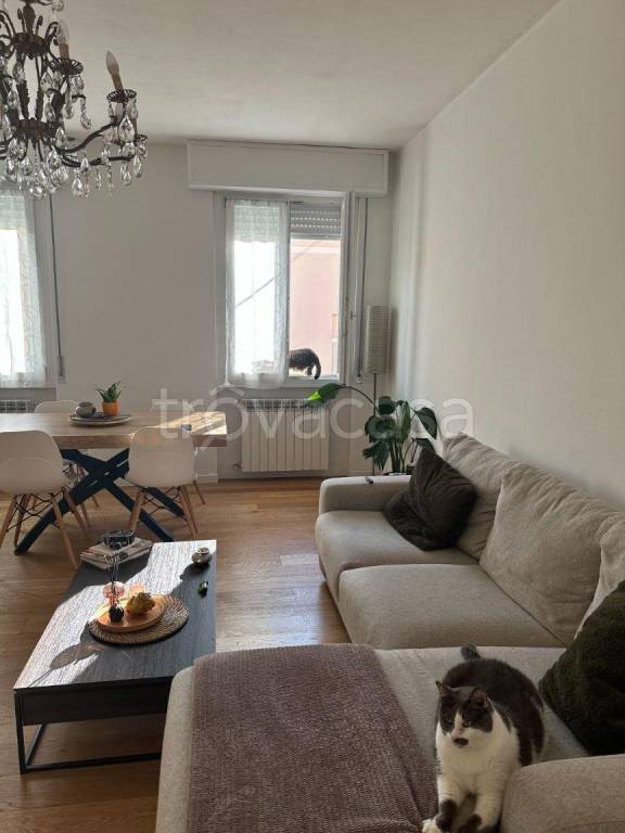 immagine annuncio 1 di 7