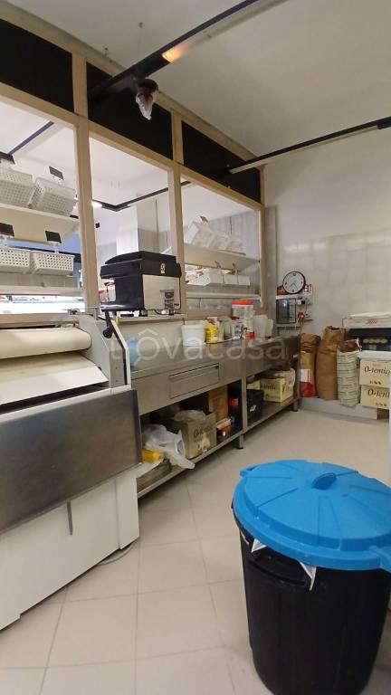 immagine annuncio 7 di 11