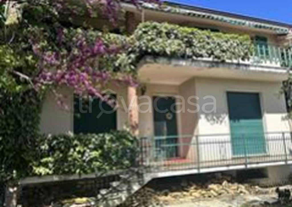 immagine annuncio 12 di 13