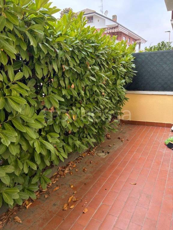 immagine annuncio 6 di 9