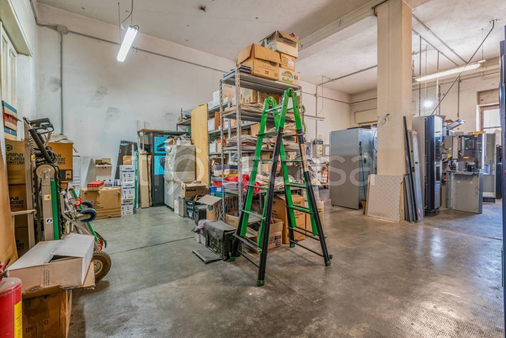 immagine annuncio 5 di 13